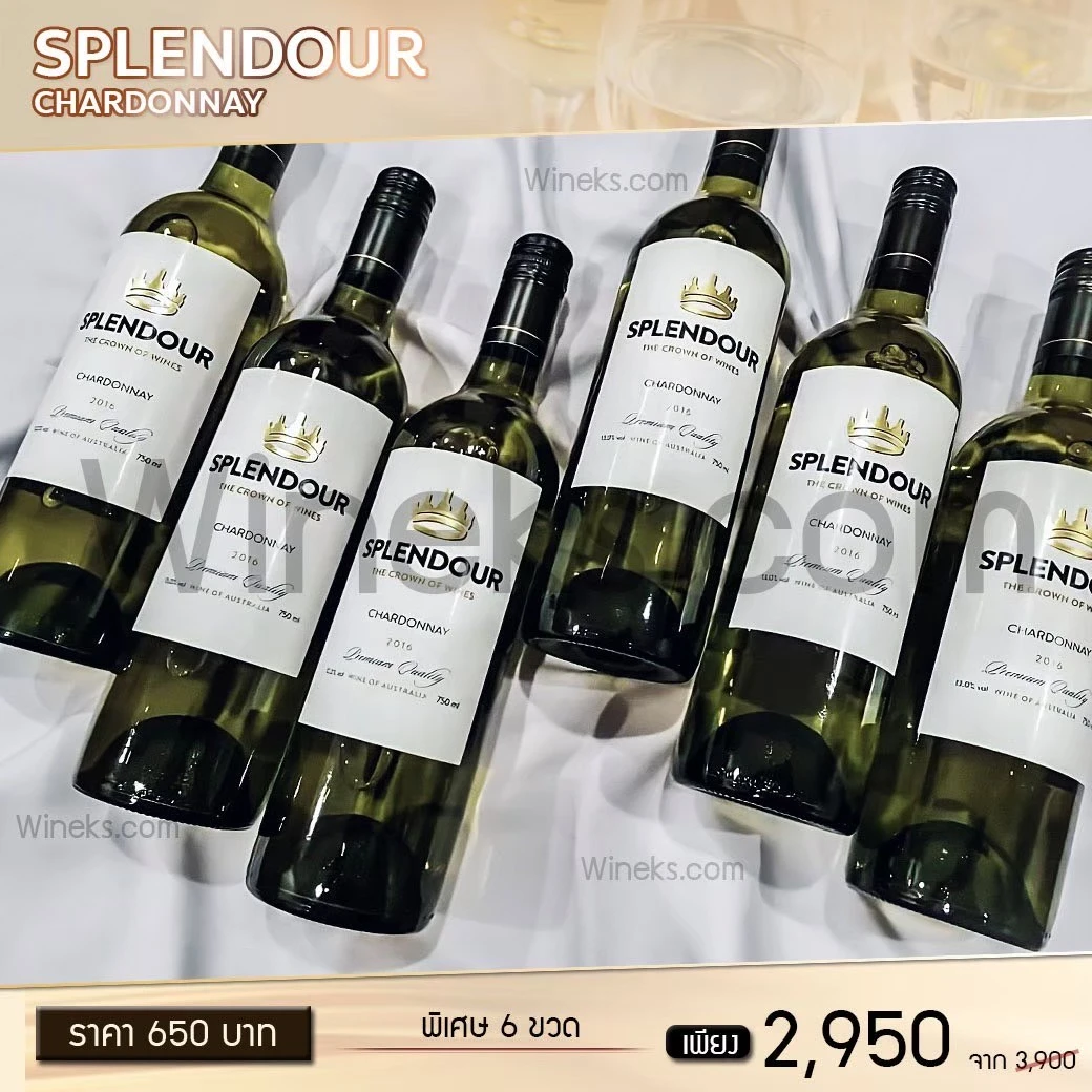 Splendour (สเปลนดัวร์) รุ่นและราคา