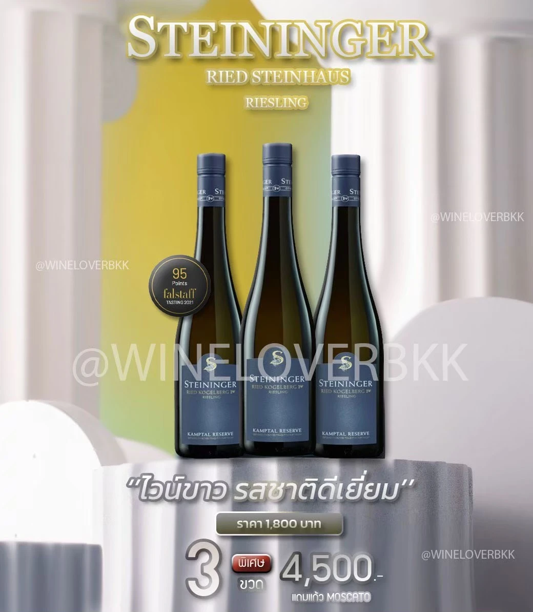 Steininger (ชไตนิงเงอร์) รุ่นและราคา